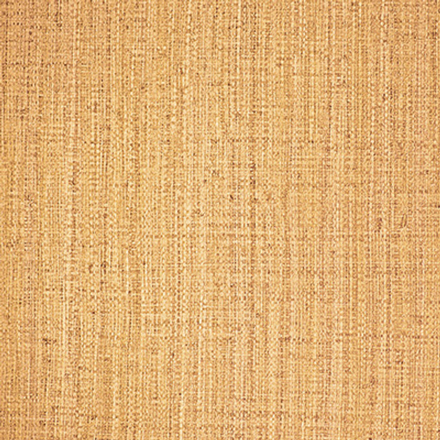 Ayllon Paja by Gaston Y Daniela Designer Wallcovering