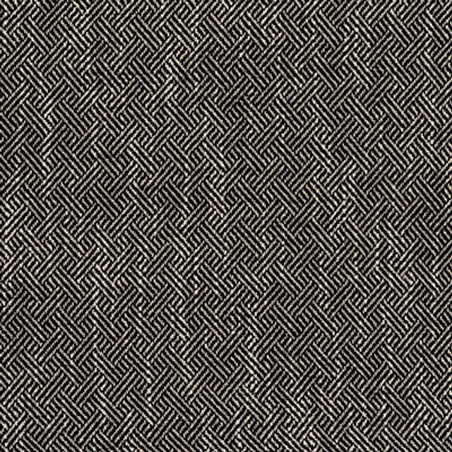 Enea Negro by Gaston Y Daniela Designer Fabric