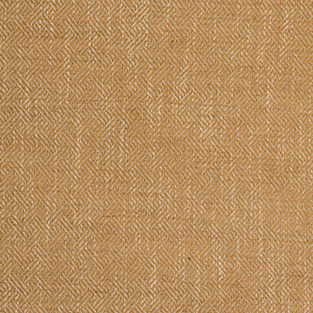Enea Oro by Gaston Y Daniela Designer Fabric
