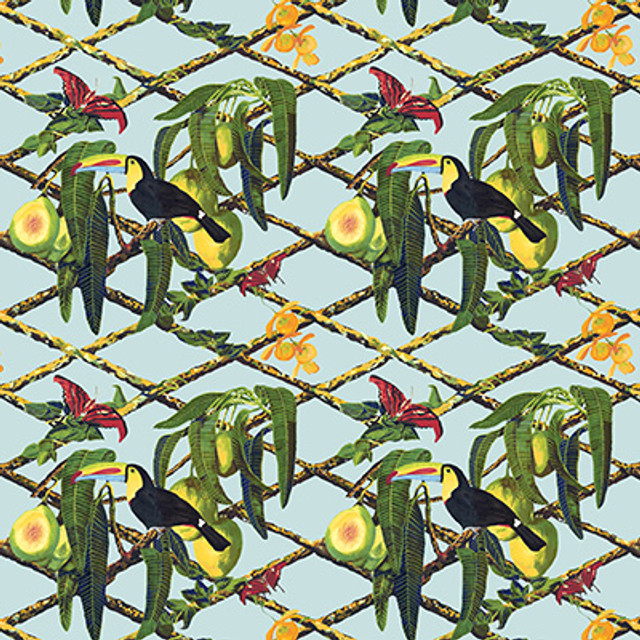 Tucan Original by Gaston Y Daniela Designer Fabric