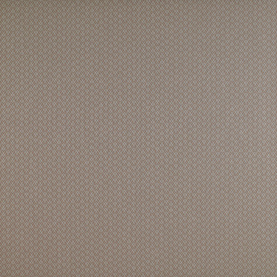 Chueca Beige by Gaston Y Daniela Designer Fabric