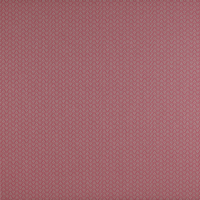 Chueca Frambuesa by Gaston Y Daniela Designer Fabric