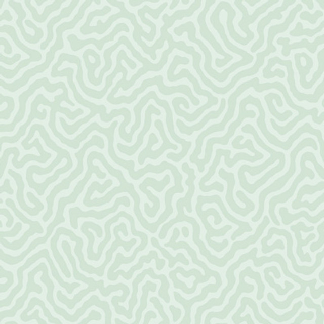 Coral Duck Egg by Cole & Son Designer Wallcovering