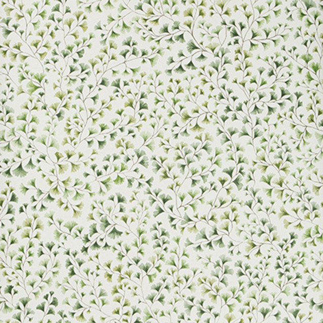 Maidenhair Olive by Cole & Son Designer Wallcovering