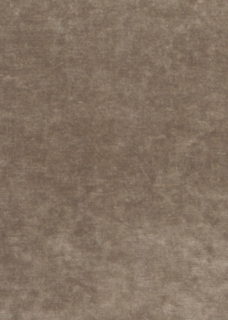 King'S Velvet Mink by G P & J Baker Designer Fabric