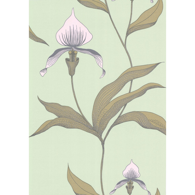 Orchid Pale Gr by Cole & Son Designer Wallcovering COLE & SON NEW CONTEMPORARY PAPER - 100% United Kingdom - Horizontal: 0 and Vertical: 28.5 20.5 - Swanky Fabrics -