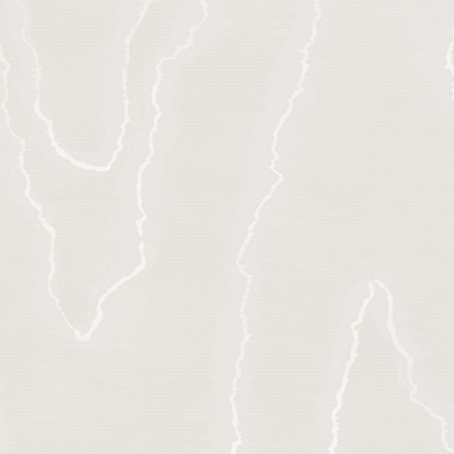Watered Silk Silver by Cole & Son Designer Wallcovering