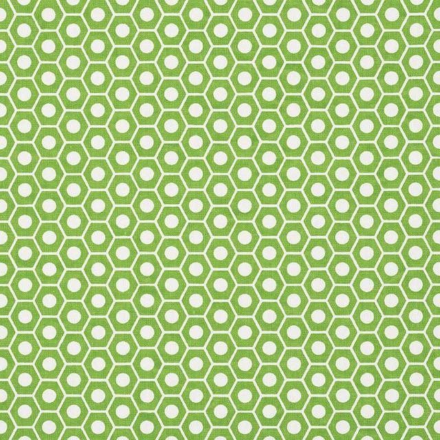 Queen B Green 177075 by Schumacher Designer Fabric Studio Bon 1.25" - Swanky Fabrics -
