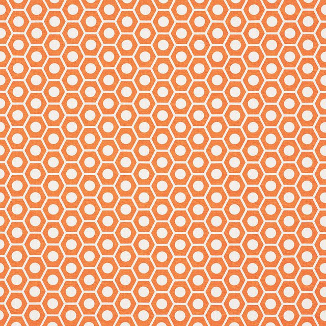 Queen B Orange 177073 by Schumacher Designer Fabric Studio Bon 1.25" - Swanky Fabrics -