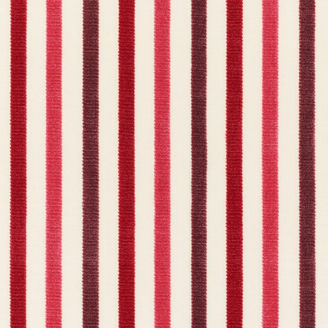 Le Matelot Berry 72292 by Schumacher Designer Fabric French Revolution 3.0" - Swanky Fabrics -