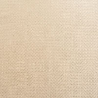 Ashton Champagne 71621 by Schumacher Designer Fabric Essentials-Luxe-Upholstery 65% Viscose, 27% Silk, 8% Polyamide - Horizontal: 1.25 and Vertical: 1.25 54 - Swanky Fabrics -