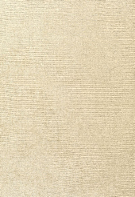 Glimmer Champagne 62637 by Schumacher Designer Fabric Chroma 48% Viscose, 28% Polyester, 24% Cotton Martindale 15,000 Horizontal: - and Vertical: - 54 - Swanky Fabrics -