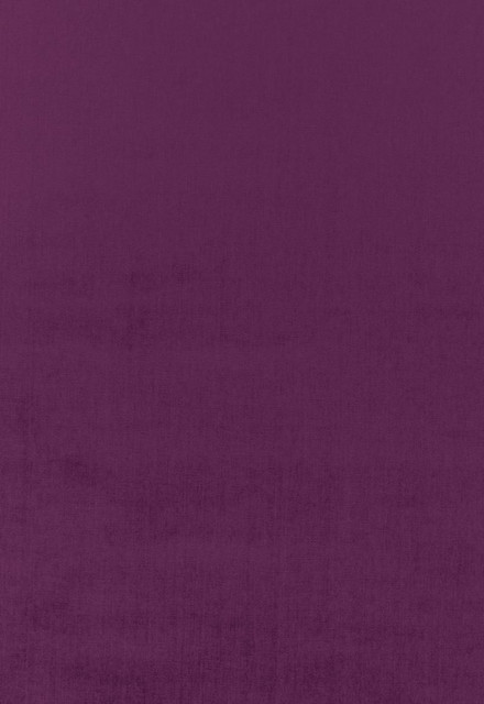 Sophia Velvet Parma 68171 by Schumacher Designer Fabric Sophia-Velvet 61% Cotton, 39% Modal Wyzenbeek 20,000 Horizontal: - and Vertical: - 55 - Swanky Fabrics -