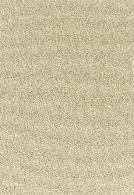 Palermo Mohair Velvet Eau De Nil 64932 by Schumacher Designer Fabric Mohair-Velvet 51% Mohair, 49% Cotton Martindale 90,000 Horizontal: - and Vertical: - 55 - Swanky Fabrics -