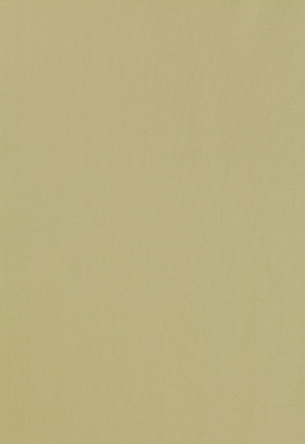 Giordano Taffeta Celery 63962 by Schumacher Designer Fabric Mirage 100% Polyester Wyzenbeek 30,000 Horizontal: - and Vertical: - 54 - Swanky Fabrics -