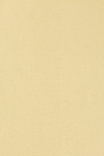Tiepolo Shantung Weave Ivory 63842 by Schumacher Designer Fabric Mirage 100% Polyester - Horizontal: - and Vertical: - 54 - Swanky Fabrics -