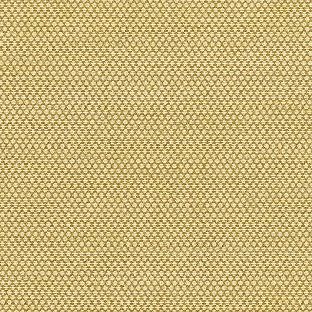 Sorano Chenille Sage 62583 by Schumacher Designer Fabric Chroma - Swanky Fabrics -