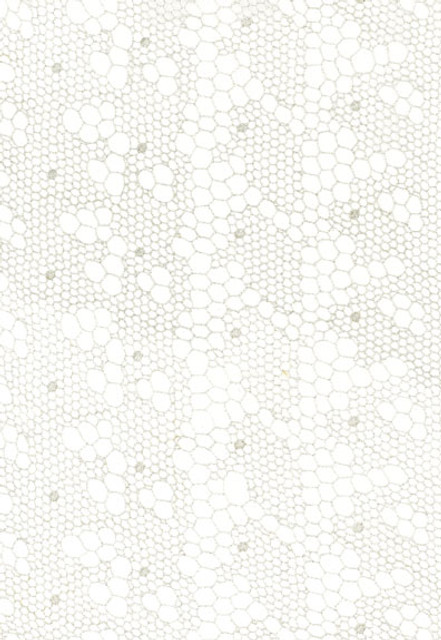 Tracery Lace Silver 55490 by Schumacher Designer Fabric - 80% Viscose, 20% Polyester - Horizontal: 12.5 and Vertical: 3 50 - Swanky Fabrics -
