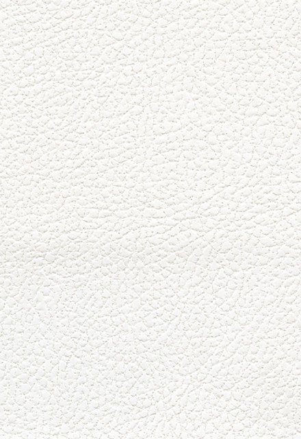 Brisa Soleil Polar 393-5750 by Schumacher Designer Fabric Ultraleather 100% Polyurethane Wyzenbeek 200,000 Horizontal: - and Vertical: - 54 - Swanky Fabrics -