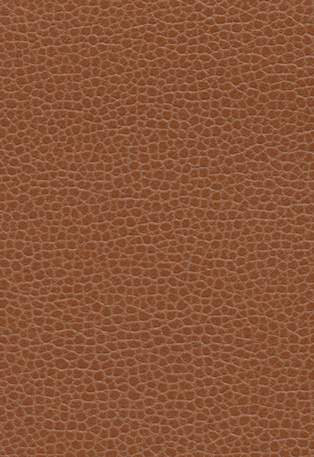 Promessa Leather 363-3144 by Schumacher Designer Fabric Ultraleather 100% Polyurethane Wyzenbeek 400,000 Horizontal: - and Vertical: - 54 - Swanky Fabrics -