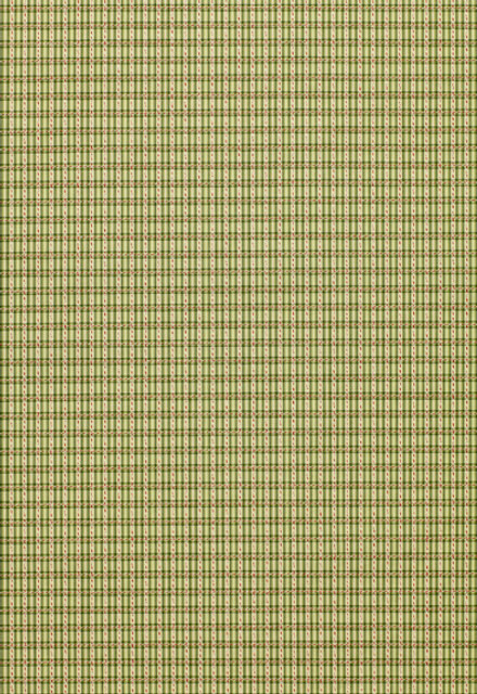 Henson Check Basil 3427001 by Schumacher Designer Fabric - 84% Cotton, 16% Viscose Martindale 8,000 Horizontal: 1 and Vertical: 3/4- 55 - Swanky Fabrics -