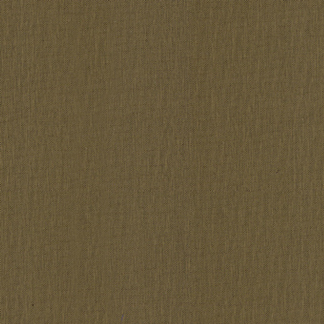 Sargent Silk Taffeta Lichen 22657 by Schumacher Designer Fabric COLLECTION-NAME-TBA-22610 100% Silk Martindale 2,000 Horizontal: - and Vertical: - 54 - Swanky Fabrics -