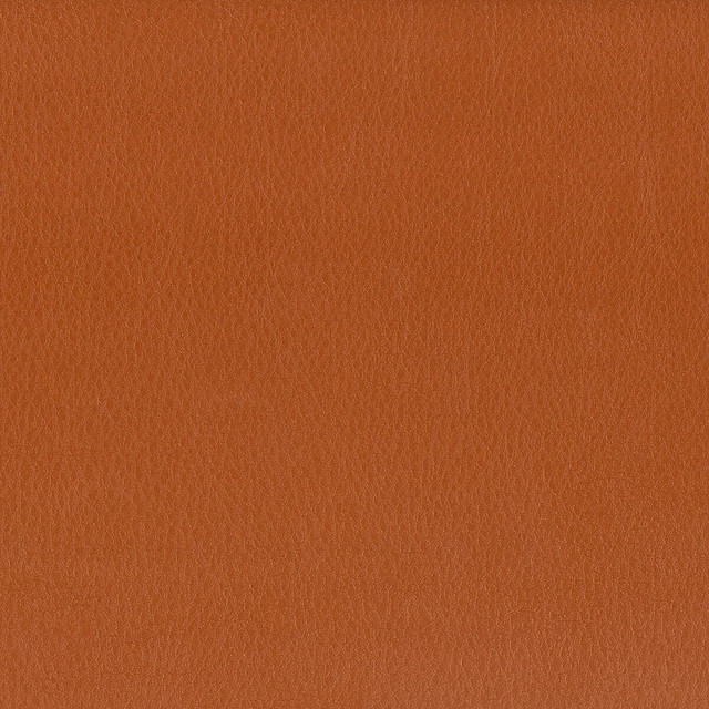 Hayride 9 Gingersnap by Stout Designer Fabric On The Go 100% Polyvinylchloride 1% Other TAIWAN FLAME RETARDANT-CA BULLETIN 117-SECTION E FLAME RETARDANT-U.F.A.C. CLASS 1 (OR A) FLAME RETARDANT-N.F.P.A. 260A CLASS 1 FLAME RETARDANT-FMVSS 302 WYZENBEEK 500 000 DOUBLE RUB WEAR TEST(EXTREMELY HEAVY DUTY) Horizontal: 0 and Vertical: 0 54 in - Swanky Fabrics -