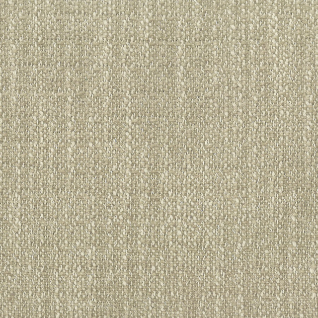 Hocus 1 Taupe by Stout Designer Fabric Rainbow Library Mushroom/Taupe 100% Polyester INDIA FLAME RETARDANT-CA BULLETIN 117-SECTION E WYZENBEEK 50 000 DOUBLE RUB WEAR TEST (HEAVY DUTY) Horizontal: 0 and Vertical: 0 55 in - Swanky Fabrics -