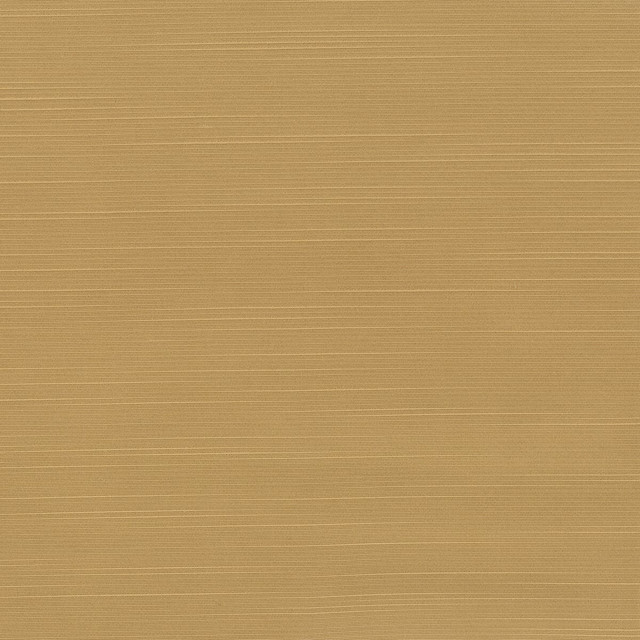 Toulouse 2 Toffee by Stout Designer Fabric Beautiful Accents 100% Polyester INDIA WYZENBEEK 20 000 DOUBLE RUB WEAR TEST (HEAVY DUTY) Horizontal: 0 and Vertical: 0 54 in - Swanky Fabrics -