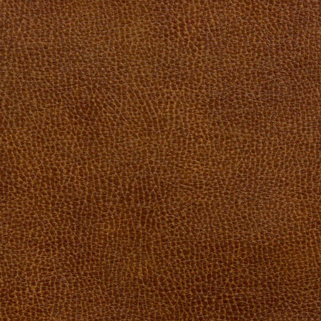 Noseda 5 Saddle by Stout Designer Fabric Recycled Leather 100% Other 6% Other CHINA FLAME RETARDANT-CA BULLETIN 117-SECTION E WYZENBEEK 100 000 DOUBLE RUB WEAR TEST (HEAVY DUTY) FLAME RETARDANT-N.F.P.A. 260A CLASS 1 Horizontal: 13.5 and Vertical: 13.5 57 in - Swanky Fabrics -