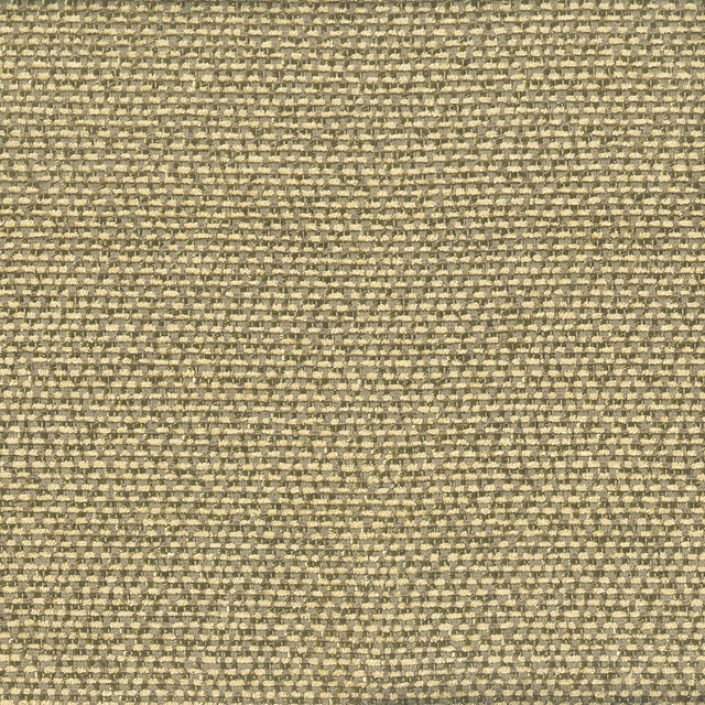 Popjoy 1 Twig by Stout Designer Fabric Comfortable Living Smoke/Cinder 100% Polyester CHINA FLAME RETARDANT-U.F.A.C. CLASS 1 (OR A) CATB 117-2013 WYZENBEEK 40 000 DOUBLE RUB WEAR TEST (HEAVY DUTY) Horizontal: 0 and Vertical: 0 55 in - Swanky Fabrics -