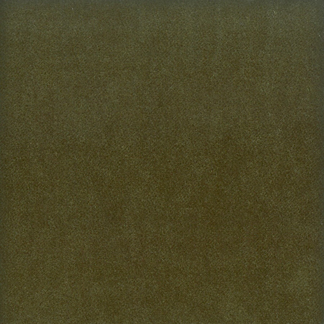 Moore 2 Jungle by Stout Designer Fabric Timeless Velvets 82% Polyester 18% Cotton SOUTH KOREA FLAME RETARDANT-U.F.A.C. CLASS 1 (OR A) CATB 117-2013 WYZENBEEK 20 000 DOUBLE RUB WEAR TEST (HEAVY DUTY) Horizontal: 0 and Vertical: 0 54.75 in - Swanky Fabrics -