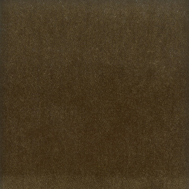 Moore 6 Twig by Stout Designer Fabric Timeless Velvets 82% Polyester 18% Cotton SOUTH KOREA FLAME RETARDANT-U.F.A.C. CLASS 1 (OR A) CATB 117-2013 WYZENBEEK 20 000 DOUBLE RUB WEAR TEST (HEAVY DUTY) Horizontal: 0 and Vertical: 0 54.75 in - Swanky Fabrics -