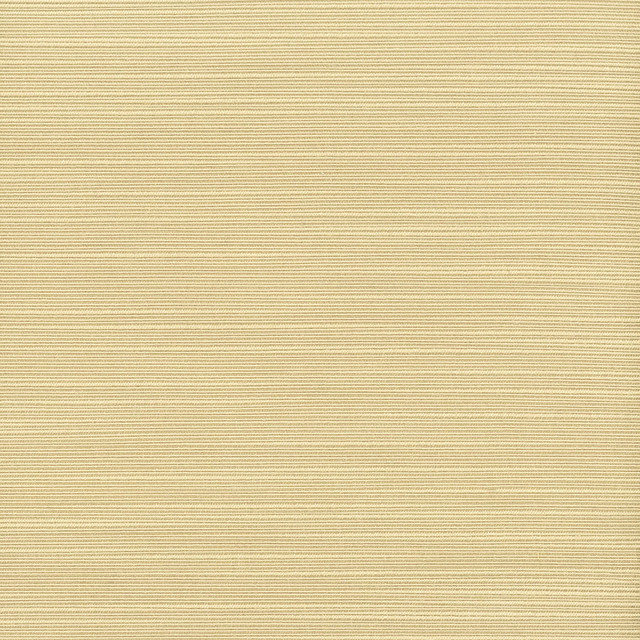 Admire 35 Chardonnay by Stout Designer Fabric Satin Splendor 100% Polyester INDIA FLAME RETARDANT-N.F.P.A. 701 SMALL SCALE MARTINDALE WEAR TEST (15 000 CIRCULAR RUBS) Horizontal: 0 and Vertical: 0 55 in - Swanky Fabrics -