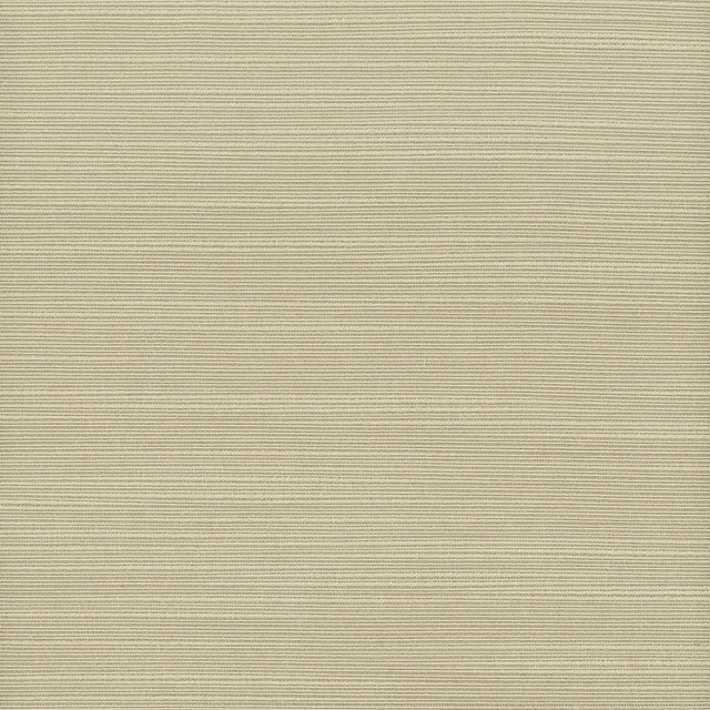 Admire 5 Hemp by Stout Designer Fabric Satin Splendor 100% Polyester INDIA FLAME RETARDANT-N.F.P.A. 701 SMALL SCALE MARTINDALE WEAR TEST (15 000 CIRCULAR RUBS) Horizontal: 0 and Vertical: 0 55 in - Swanky Fabrics -