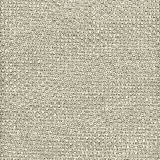 Curbside 1 Grey by Crypton Designer Fabric Solid Foundations 100% Polyester CHINA FLAME RETARDANT-CA BULLETIN 117-SECTION E FLAME RETARDANT-N.F.P.A. 260A CLASS 1 WYZENBEEK 50 000 DOUBLE RUB WEAR TEST (HEAVY DUTY) Horizontal: 0 and Vertical: 0 54 in - Swanky Fabrics -