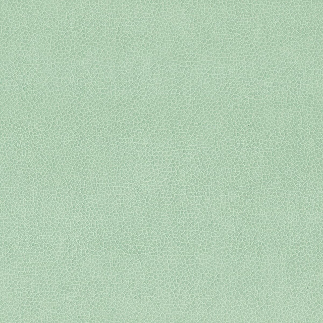 Wilkinson 6 Spa by Stout Designer Fabric On The Go 100% Polyurethane 1% Other CHINA FLAME RETARDANT-CA BULLETIN 117-SECTION E FLAME RETARDANT-U.F.A.C. CLASS 1 (OR A) FLAME RETARDANT-N.F.P.A. 260A CLASS 1 WYZENBEEK 500 000 DOUBLE RUB WEAR TEST(EXTREMELY HEAVY DUTY) FLAME RETARDANT-FMVSS 302 Horizontal: 0 and Vertical: 0 54 in - Swanky Fabrics - Wilkinson 6 Spa by Stout Designer Fabric On The Go 100% Polyurethane 1% Other CHINA FLAME RETARDANT-CA BULLETIN 117-SECTION E FLAME RETARDANT-U.F.A.C. CLASS 1 (OR A) FLAME RETARDANT-N.F.P.A. 260A CLASS 1 WYZENBEEK 500 000 DOUBLE RUB WEAR TEST(EXTREMELY HEAVY DUTY) FLAME RETARDANT-FMVSS 302 Horizontal: 0 and Vertical: 0 54 in - Swanky Fabrics -