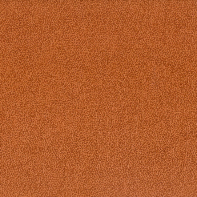 Wilkinson 7 Cognac by Stout Designer Fabric On The Go 100% Polyurethane 1% Other CHINA FLAME RETARDANT-CA BULLETIN 117-SECTION E FLAME RETARDANT-U.F.A.C. CLASS 1 (OR A) FLAME RETARDANT-N.F.P.A. 260A CLASS 1 WYZENBEEK 500 000 DOUBLE RUB WEAR TEST(EXTREMELY HEAVY DUTY) FLAME RETARDANT-FMVSS 302 Horizontal: 0 and Vertical: 0 54 in - Swanky Fabrics - Wilkinson 7 Cognac by Stout Designer Fabric On The Go 100% Polyurethane 1% Other CHINA FLAME RETARDANT-CA BULLETIN 117-SECTION E FLAME RETARDANT-U.F.A.C. CLASS 1 (OR A) FLAME RETARDANT-N.F.P.A. 260A CLASS 1 WYZENBEEK 500 000 DOUBLE RUB WEAR TEST(EXTREMELY HEAVY DUTY) FLAME RETARDANT-FMVSS 302 Horizontal: 0 and Vertical: 0 54 in - Swanky Fabrics -