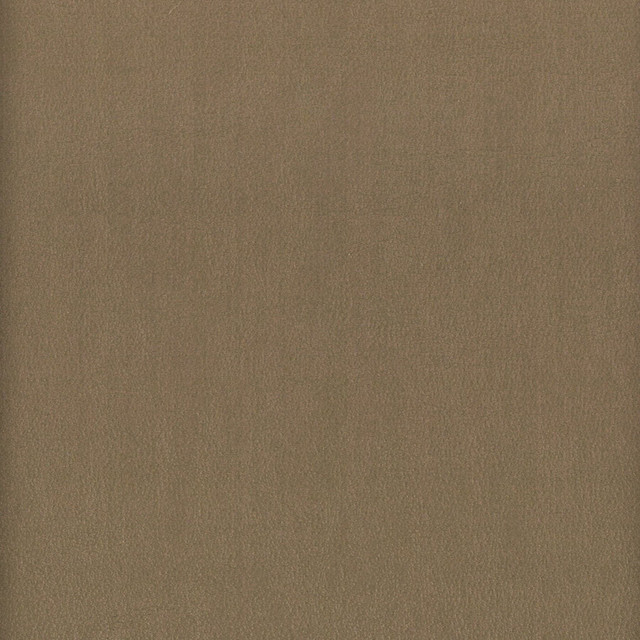 Elbert 6 Shadow by Stout Designer Fabric Leather Looks Iii Performance 70% Polyvinylchloride 25% Polyester 5% Polyurethane CHINA PERFORMANCE RATED FABRIC CATB 117-2013 WYZENBEEK 80 000 DOUBLE RUB WEAR TEST (HEAVY DUTY) Horizontal: 0 and Vertical: 0 54 in - Swanky Fabrics -