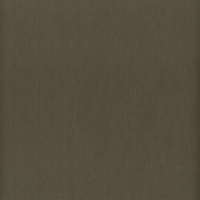 Elbert 7 Gunmetal by Stout Designer Fabric Leather Looks Iii Performance 70% Polyvinylchloride 25% Polyester 5% Polyurethane CHINA PERFORMANCE RATED FABRIC CATB 117-2013 WYZENBEEK 80 000 DOUBLE RUB WEAR TEST (HEAVY DUTY) Horizontal: 0 and Vertical: 0 54 in - Swanky Fabrics -
