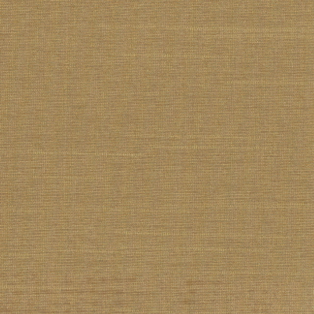 Succulent Buff by Carole Designer Fabric Succulent,Succulent II 100% POLYESTER INDIA N/A Horizontal: 0" and Vertical: 0" 54" - Swanky Fabrics -