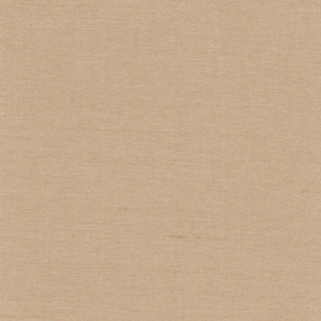 Northwind Almond by Carole Designer Fabric New Northwind Iii 100% Polyester India N/A Horizontal: 0" and Vertical: 0" 54" - Swanky Fabrics -