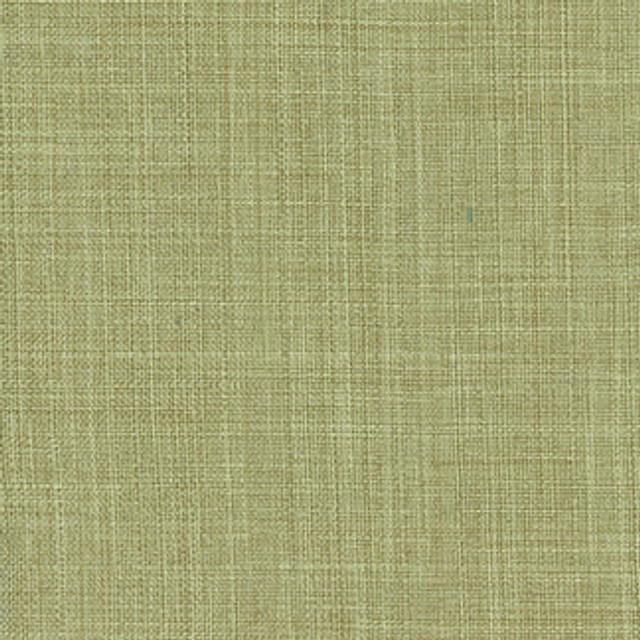 Sightsee Olive Tree by Carole Designer Fabric Sensibility 100% Polyester China Passes 30,000 Double Rubs Wyzenbeek Horizontal: 0" and Vertical: 0" 55" - Swanky Fabrics -