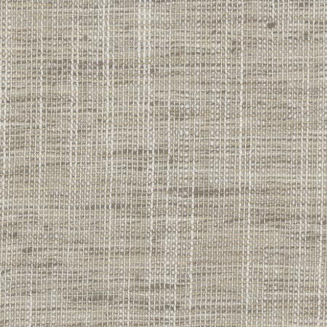 Take Care Ash by Carole Designer Fabric COME HOME 100% Polyester India N/A Horizontal: 0" and Vertical: 0" 54" - Swanky Fabrics -