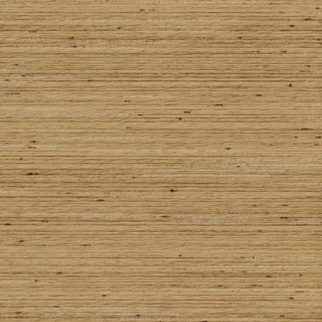 Discreet Almond by Carole Designer Fabric Distinct Drapery,Delight 100% POLYESTER INDIA Passes 20,000 Double Rubs Wyzenbeek Horizontal: 0" and Vertical: 0" 55" - Swanky Fabrics -