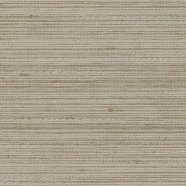 Discreet Natural by Carole Designer Fabric Distinct Drapery,Delight 100% POLYESTER INDIA Passes 20,000 Double Rubs Wyzenbeek Horizontal: 0" and Vertical: 0" 55" - Swanky Fabrics -