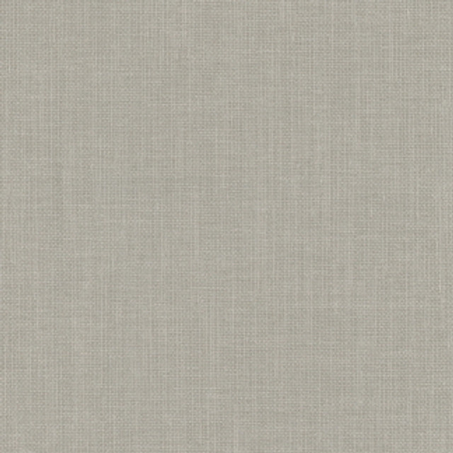 Liberty Cloudy by Carole Designer Fabric Liberty 100% Polyester India Passes 50,000 Double Rubs Wyzenbeek Horizontal: 0" and Vertical: 0" 54" - Swanky Fabrics -
