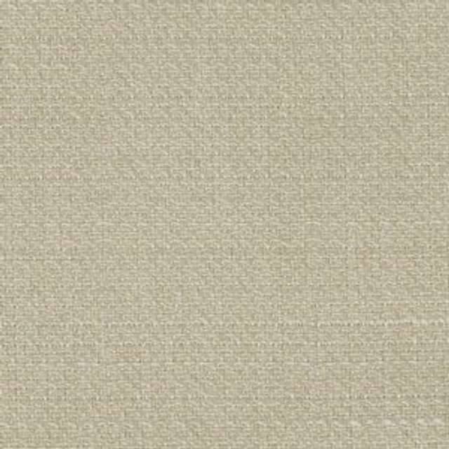 Bellamy Sand Dollar 10 by Norbar Designer Fabric BURMA 100% POLYESTER TAIWAN 54 - Swanky Fabrics -