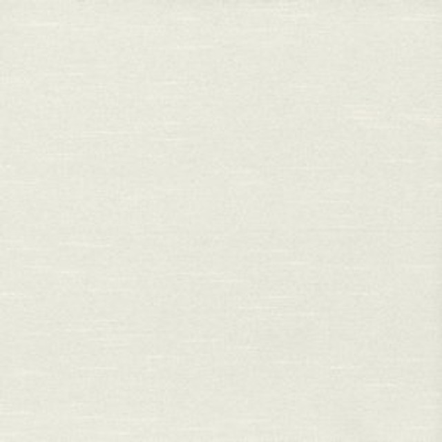 Caprio Oyster by Norbar Designer Fabric 100% POLYESTER INDIA 54 - Swanky Fabrics -