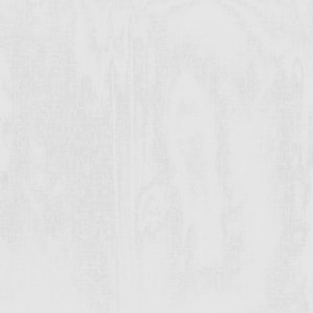 Jupiter Winter White by Norbar Designer Fabric SHEER IMAGE 100% POLYESTER TURKEY 130 - Swanky Fabrics -